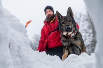 What avalanche safety training can teach corporate boards about bad decisions