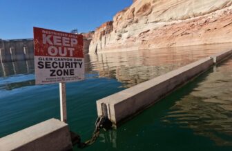 The river that supplies 40 million Americans is down to 23% — and about to make a $25 million bet on one fish